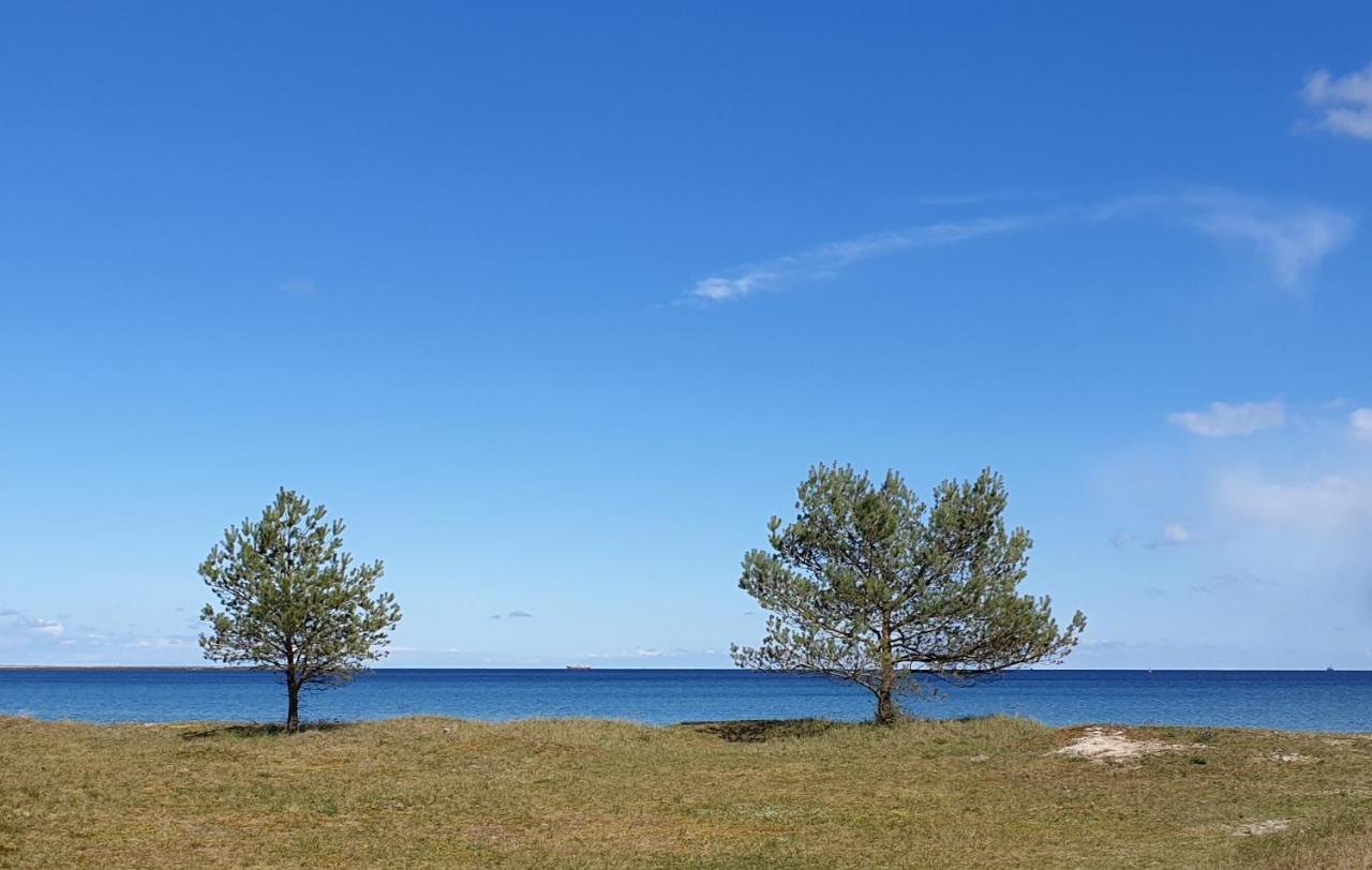 Ferienhaus Ostseeblick Ruegen ซาสนิทซ์ ภายนอก รูปภาพ